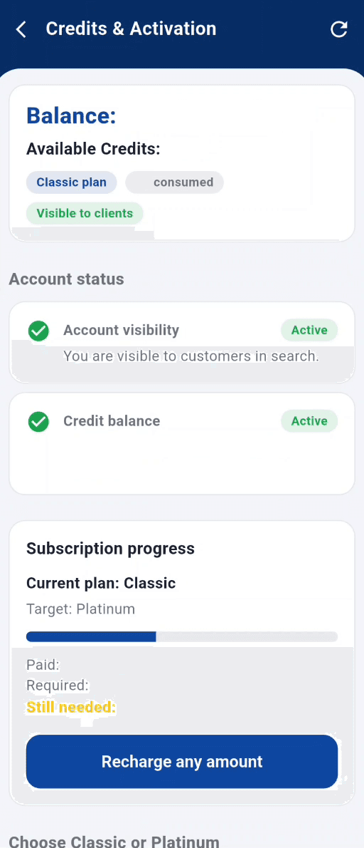 Credits and activation screen showing the Classic plan, account visibility, credit balance status and progress toward the Platinum plan